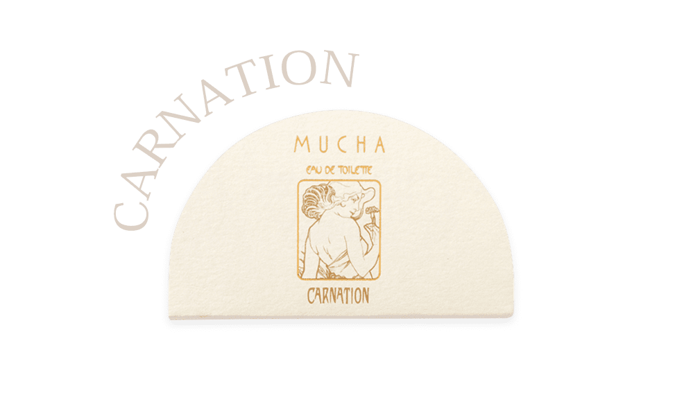 CARNATION